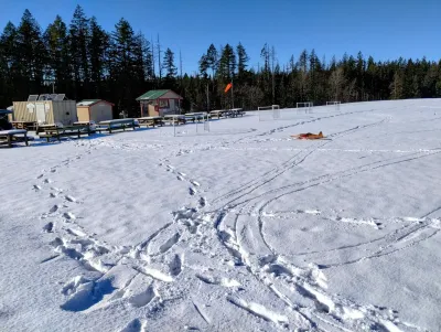 IMG_20250206_144841432_HDR~2.jpg